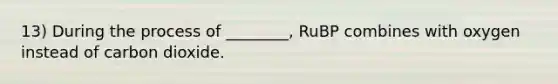 13) During the process of ________, RuBP combines with oxygen instead of carbon dioxide.