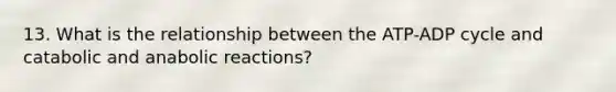 13. What is the relationship between the ATP-ADP cycle and catabolic and anabolic reactions?