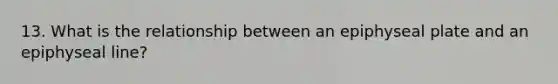 13. What is the relationship between an epiphyseal plate and an epiphyseal line?