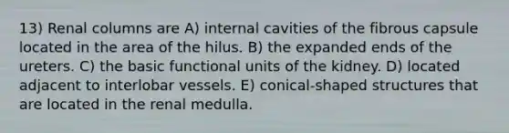 13) Renal columns are A) internal cavities of the fibrous capsule located in the area of the hilus. B) the expanded ends of the ureters. C) the basic functional units of the kidney. D) located adjacent to interlobar vessels. E) conical-shaped structures that are located in the renal medulla.