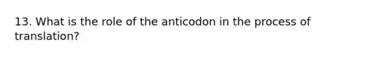 13. What is the role of the anticodon in the process of translation?