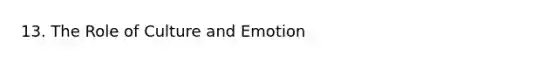 13. The Role of Culture and Emotion