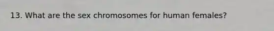 13. What are the sex chromosomes for human females?