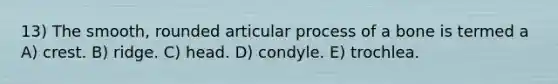 13) The smooth, rounded articular process of a bone is termed a A) crest. B) ridge. C) head. D) condyle. E) trochlea.