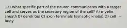 13) What specific part of the neuron communicates with a target cell and serves as the secretory region of the cell? A) myelin sheath B) dendrites C) axon terminals (synaptic knobs) D) cell body