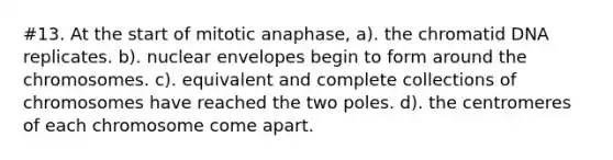 #13. At the start of mitotic anaphase, a). the chromatid DNA replicates. b). nuclear envelopes begin to form around the chromosomes. c). equivalent and complete collections of chromosomes have reached the two poles. d). the centromeres of each chromosome come apart.