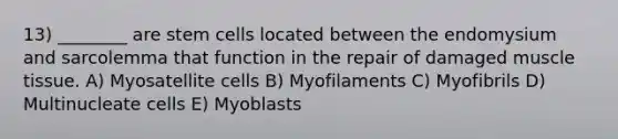 13) ________ are stem cells located between the endomysium and sarcolemma that function in the repair of damaged muscle tissue. A) Myosatellite cells B) Myofilaments C) Myofibrils D) Multinucleate cells E) Myoblasts