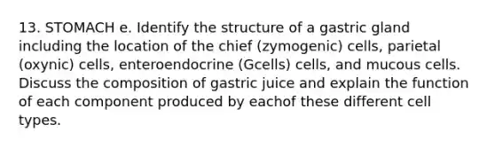 13. STOMACH e. Identify the structure of a gastric gland including the location of the chief (zymogenic) cells, parietal (oxynic) cells, enteroendocrine (Gcells) cells, and mucous cells. Discuss the composition of gastric juice and explain the function of each component produced by eachof these different cell types.