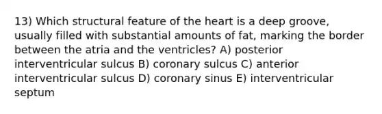 13) Which structural feature of the heart is a deep groove, usually filled with substantial amounts of fat, marking the border between the atria and the ventricles? A) posterior interventricular sulcus B) coronary sulcus C) anterior interventricular sulcus D) coronary sinus E) interventricular septum