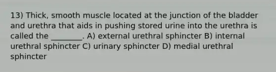 13) Thick, smooth muscle located at the junction of the bladder and urethra that aids in pushing stored urine into the urethra is called the ________. A) external urethral sphincter B) internal urethral sphincter C) urinary sphincter D) medial urethral sphincter