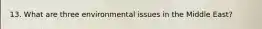 13. What are three environmental issues in the Middle East?