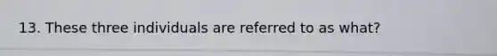 13. These three individuals are referred to as what?
