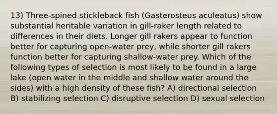 13) Three-spined stickleback fish (Gasterosteus aculeatus) show substantial heritable variation in gill-raker length related to differences in their diets. Longer gill rakers appear to function better for capturing open-water prey, while shorter gill rakers function better for capturing shallow-water prey. Which of the following types of selection is most likely to be found in a large lake (open water in the middle and shallow water around the sides) with a high density of these fish? A) directional selection B) stabilizing selection C) disruptive selection D) sexual selection