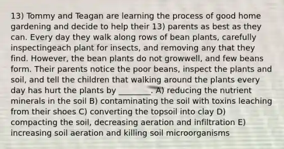 13) Tommy and Teagan are learning the process of good home gardening and decide to help their 13) parents as best as they can. Every day they walk along rows of bean plants, carefully inspectingeach plant for insects, and removing any that they find. However, the bean plants do not growwell, and few beans form. Their parents notice the poor beans, inspect the plants and soil, and tell the children that walking around the plants every day has hurt the plants by ________. A) reducing the nutrient minerals in the soil B) contaminating the soil with toxins leaching from their shoes C) converting the topsoil into clay D) compacting the soil, decreasing aeration and infiltration E) increasing soil aeration and killing soil microorganisms