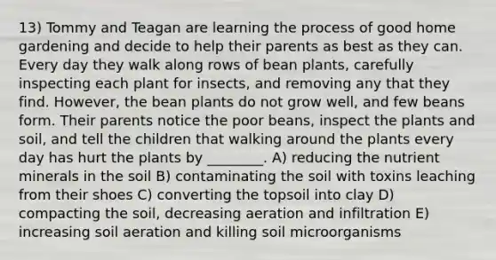 13) Tommy and Teagan are learning the process of good home gardening and decide to help their parents as best as they can. Every day they walk along rows of bean plants, carefully inspecting each plant for insects, and removing any that they find. However, the bean plants do not grow well, and few beans form. Their parents notice the poor beans, inspect the plants and soil, and tell the children that walking around the plants every day has hurt the plants by ________. A) reducing the nutrient minerals in the soil B) contaminating the soil with toxins leaching from their shoes C) converting the topsoil into clay D) compacting the soil, decreasing aeration and infiltration E) increasing soil aeration and killing soil microorganisms