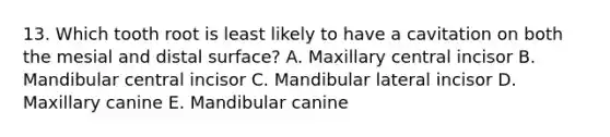 13. Which tooth root is least likely to have a cavitation on both the mesial and distal surface? A. Maxillary central incisor B. Mandibular central incisor C. Mandibular lateral incisor D. Maxillary canine E. Mandibular canine