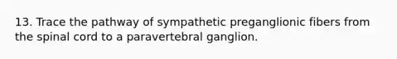 13. Trace the pathway of sympathetic preganglionic fibers from the spinal cord to a paravertebral ganglion.