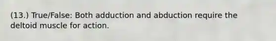 (13.) True/False: Both adduction and abduction require the deltoid muscle for action.