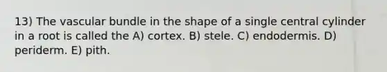 13) The vascular bundle in the shape of a single central cylinder in a root is called the A) cortex. B) stele. C) endodermis. D) periderm. E) pith.