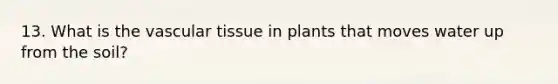 13. What is the vascular tissue in plants that moves water up from the soil?