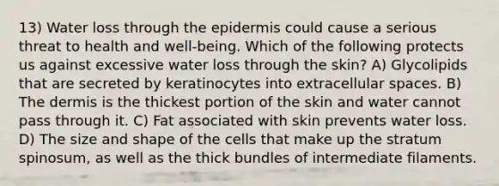 13) Water loss through the epidermis could cause a serious threat to health and well-being. Which of the following protects us against excessive water loss through the skin? A) Glycolipids that are secreted by keratinocytes into extracellular spaces. B) The dermis is the thickest portion of the skin and water cannot pass through it. C) Fat associated with skin prevents water loss. D) The size and shape of the cells that make up the stratum spinosum, as well as the thick bundles of intermediate filaments.