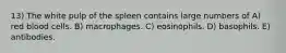 13) The white pulp of the spleen contains large numbers of A) red blood cells. B) macrophages. C) eosinophils. D) basophils. E) antibodies.
