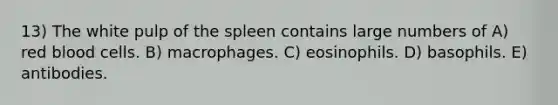 13) The white pulp of the spleen contains large numbers of A) red blood cells. B) macrophages. C) eosinophils. D) basophils. E) antibodies.