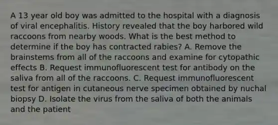 A 13 year old boy was admitted to the hospital with a diagnosis of viral encephalitis. History revealed that the boy harbored wild raccoons from nearby woods. What is the best method to determine if the boy has contracted rabies? A. Remove the brainstems from all of the raccoons and examine for cytopathic effects B. Request immunofluorescent test for antibody on the saliva from all of the raccoons. C. Request immunofluorescent test for antigen in cutaneous nerve specimen obtained by nuchal biopsy D. Isolate the virus from the saliva of both the animals and the patient