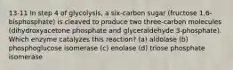 13-11 In step 4 of glycolysis, a six-carbon sugar (fructose 1,6-bisphosphate) is cleaved to produce two three-carbon molecules (dihydroxyacetone phosphate and glyceraldehyde 3-phosphate). Which enzyme catalyzes this reaction? (a) aldolase (b) phosphoglucose isomerase (c) enolase (d) triose phosphate isomerase