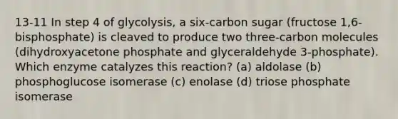 13-11 In step 4 of glycolysis, a six-carbon sugar (fructose 1,6-bisphosphate) is cleaved to produce two three-carbon molecules (dihydroxyacetone phosphate and glyceraldehyde 3-phosphate). Which enzyme catalyzes this reaction? (a) aldolase (b) phosphoglucose isomerase (c) enolase (d) triose phosphate isomerase