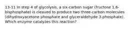 13-11 In step 4 of glycolysis, a six-carbon sugar (fructose 1,6-bisphosphate) is cleaved to produce two three-carbon molecules (dihydroxyacetone phosphate and glyceraldehyde 3-phosphate). Which enzyme catalyzes this reaction?