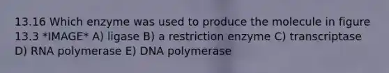 13.16 Which enzyme was used to produce the molecule in figure 13.3 *IMAGE* A) ligase B) a restriction enzyme C) transcriptase D) RNA polymerase E) DNA polymerase