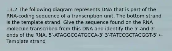 13.2 The following diagram represents DNA that is part of the RNA-coding sequence of a transcription unit. The bottom strand is the template strand. Give the sequence found on the RNA molecule transcribed from this DNA and identify the 5′ and 3′ ends of the RNA. 5′-ATAGGCGATGCCA-3′ 3′-TATCCGCTACGGT-5′ ← Template strand