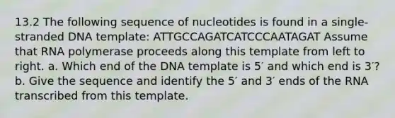 13.2 The following sequence of nucleotides is found in a single-stranded DNA template: ATTGCCAGATCATCCCAATAGAT Assume that RNA polymerase proceeds along this template from left to right. a. Which end of the DNA template is 5′ and which end is 3′? b. Give the sequence and identify the 5′ and 3′ ends of the RNA transcribed from this template.