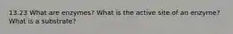 13.23 What are enzymes? What is the active site of an enzyme? What is a substrate?