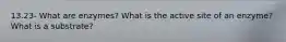 13.23- What are enzymes? What is the active site of an enzyme? What is a substrate?