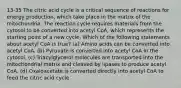 13-35 The citric acid cycle is a critical sequence of reactions for energy production, which take place in the matrix of the mitochondria. The reaction cycle requires materials from the cytosol to be converted into acetyl CoA, which represents the starting point of a new cycle. Which of the following statements about acetyl CoA is true? (a) Amino acids can be converted into acetyl CoA. (b) Pyruvate is converted into acetyl CoA in the cytosol. (c) Triacylglycerol molecules are transported into the mitochondrial matrix and cleaved by lipases to produce acetyl CoA. (d) Oxaloacetate is converted directly into acetyl CoA to feed the citric acid cycle