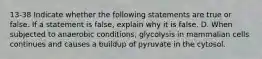 13-38 Indicate whether the following statements are true or false. If a statement is false, explain why it is false. D. When subjected to anaerobic conditions, glycolysis in mammalian cells continues and causes a buildup of pyruvate in the cytosol.