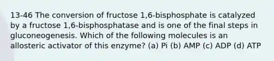 13-46 The conversion of fructose 1,6-bisphosphate is catalyzed by a fructose 1,6-bisphosphatase and is one of the final steps in gluconeogenesis. Which of the following molecules is an allosteric activator of this enzyme? (a) Pi (b) AMP (c) ADP (d) ATP