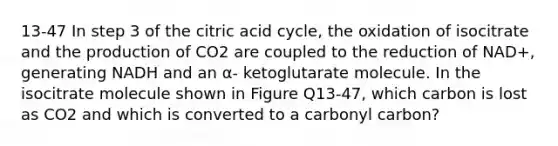 13-47 In step 3 of the citric acid cycle, the oxidation of isocitrate and the production of CO2 are coupled to the reduction of NAD+, generating NADH and an α- ketoglutarate molecule. In the isocitrate molecule shown in Figure Q13-47, which carbon is lost as CO2 and which is converted to a carbonyl carbon?