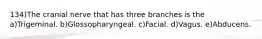 134)The cranial nerve that has three branches is the a)Trigeminal. b)Glossopharyngeal. c)Facial. d)Vagus. e)Abducens.