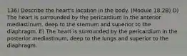 136) Describe the heart's location in the body. (Module 18.2B) D) The heart is surrounded by the pericardium in the anterior mediastinum, deep to the sternum and superior to the diaphragm. E) The heart is surrounded by the pericardium in the posterior mediastinum, deep to the lungs and superior to the diaphragm.