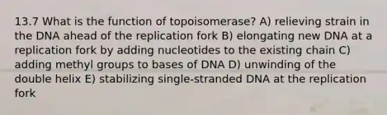 13.7 What is the function of topoisomerase? A) relieving strain in the DNA ahead of the replication fork B) elongating new DNA at a replication fork by adding nucleotides to the existing chain C) adding methyl groups to bases of DNA D) unwinding of the double helix E) stabilizing single-stranded DNA at the replication fork