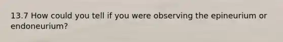 13.7 How could you tell if you were observing the epineurium or endoneurium?