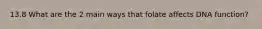 13.8 What are the 2 main ways that folate affects DNA function?