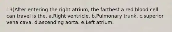 13)After entering the right atrium, the farthest a red blood cell can travel is the. a.Right ventricle. b.Pulmonary trunk. c.superior vena cava. d.ascending aorta. e.Left atrium.