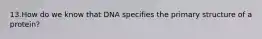 13.How do we know that DNA specifies the primary structure of a protein?