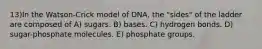 13)​In the Watson-Crick model of DNA, the "sides" of the ladder are composed of ​​A) sugars.​​ B) bases.​ C) hydrogen bonds.​ D) sugar-phosphate molecules.​ E) phosphate groups.