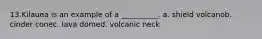 13.​Kilauea is an example of a __________. a. shield volcano​b. cinder cone​c. lava dome​d. volcanic neck