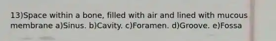 13)Space within a bone, filled with air and lined with mucous membrane a)Sinus. b)Cavity. c)Foramen. d)Groove. e)Fossa